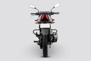 Rear View of Pulsar 150