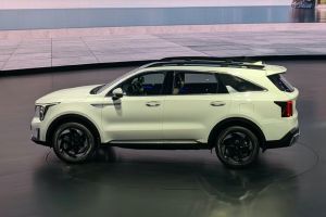 Side Profile View (Left) Image of Sorento