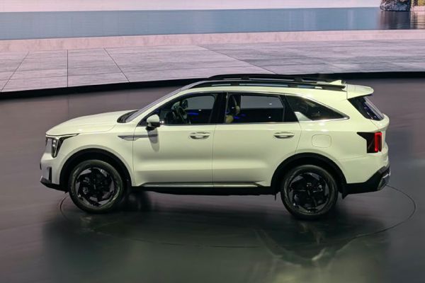 Side Profile View (Left) Image of Sorento