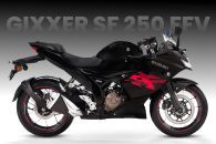 Suzuki Gixxer SF 250 Flex Fuel