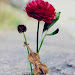 Gobind Talwar