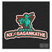 Gagan Kathe