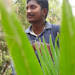 Vignesh