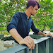 Syed