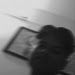 Ayush Mohanty
