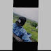 Yasin