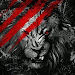 AMIT