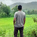 rishi