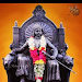 rajput