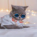 cat business